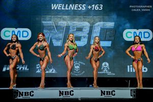 WELLNESS +163